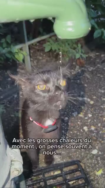 Vidéo