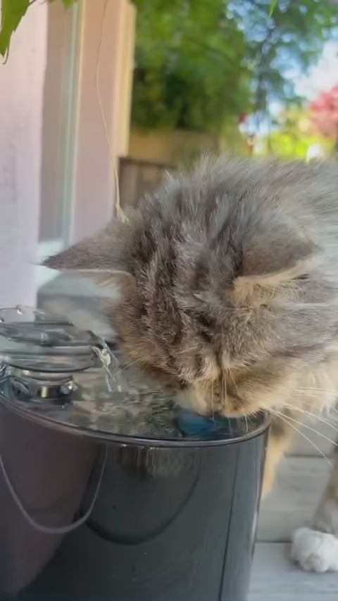 Vidéo
