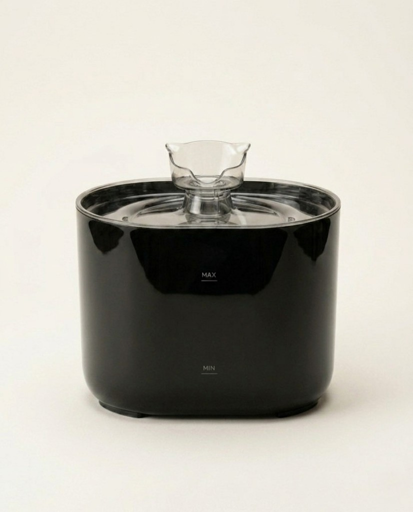 Fontaine Pawchic | Une source d'eau pure au quotidien