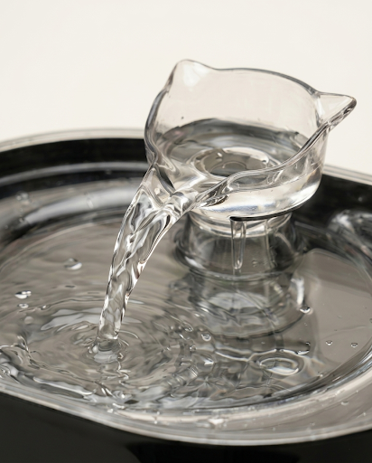 Fontaine Pawchic | Une source d'eau pure au quotidien